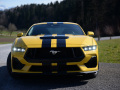 Mustang-6