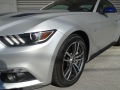 mustang-8