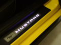 Mustang-10