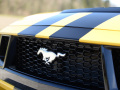 Mustang-3